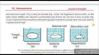 Hypotonic Isotonic and Hypertonicosmoregulation in plants 12th class chap 15 Biology [upl. by Ogirdor]