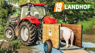 LS 19 Landhof 21 Die ersten SCHWEINE auf dem Hof  LANDWIRTSCHAFTS SIMULATOR [upl. by Aneeras]