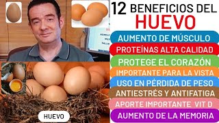 12 BENEFICIOS del🥚HUEVO🥚 DEPORTISTAS🏃MÚSCULO💪ESTRÉS😮 BAJA PESO👏ANTICANCERÍGENO LUTEÍNA ZEAXANTINA❤️ [upl. by Annoled]