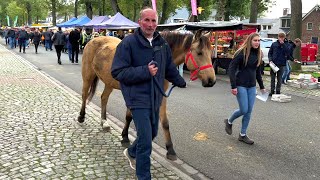 Zuidlaardermarkt Europas größter Pferde amp Jahrmarkt Paardenmarkt in Holland am 17102023 [upl. by Aicenek]