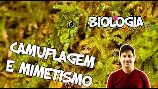 Biologia  Camuflagem e Mimetismos [upl. by Haisej]