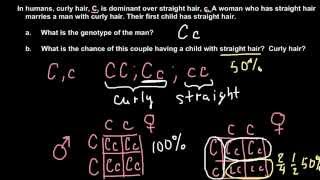 How to solve simple Mendelian genetics problems [upl. by Lyford]