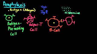 Anaphylaxis Pathophysiology [upl. by Letisha455]