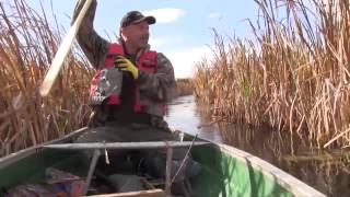 Trapping Inc Ep3 S1 Fall Muskrats [upl. by Nele]