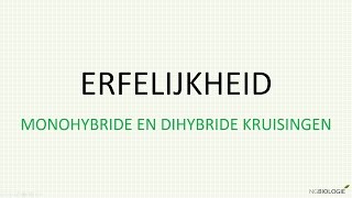 Erfelijkheid  monohybride en dihybride kruisingen [upl. by Lenneuq158]