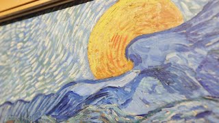 Van Gogh  Trieste Museo Revoltella The most beautiful paintings seen up close [upl. by Milde]