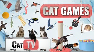 CAT Games  Ultimate Cat TV Compilation Vol 45  2 HOURS 🐝🐞🦋🦎🦜🐜🐭🧵 [upl. by Kathie]