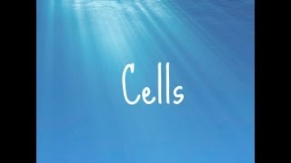 5 A Simple Guide to IGCSE Biology  Cells [upl. by Brander]