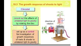 5090 CHAPTER 15 SYLLABUS 2023 COORDINATION IN PLANTS [upl. by Marisa209]