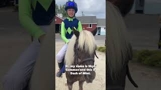 Meet the Shetland Pony Steeplechase jockeys and their speedy ponies 🏇 [upl. by Aicened177]