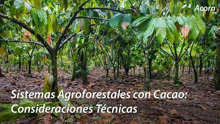 Sistemas Agroforestales con Cacao Consideraciones Técnicas ft Egbert Spaans [upl. by Notsag212]