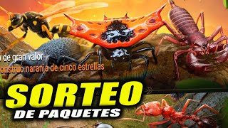 🆕 Sorteo de paquetes de insecto  Participa siendo miembro del canal 🌏The Ants UK🐜 [upl. by Melinda]