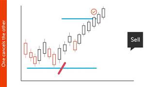 Trading lernen  2 Orderarten  Swissquote [upl. by Liamsi]