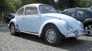 1967 Volkswagen Beetle Start Up Exhaust and In Depth Tour [upl. by Assenal]