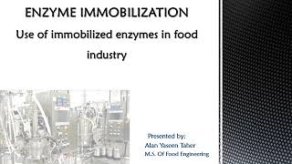 USE OF IMMOBILIZED ENZYMES IN THE FOOD INDUSTRY  ALAN BILBAS [upl. by Nidnal]