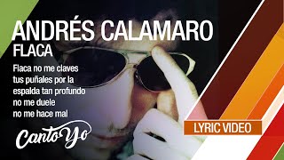 Andrés Calamaro  Flaca Lyric Video  CantoYo [upl. by Vachill]