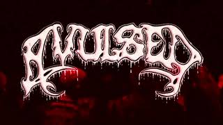 Avulsed live  Heidelberg Deathfest [upl. by Alfredo955]