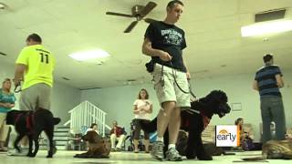 Service dogs and epilepsy [upl. by Brantley216]