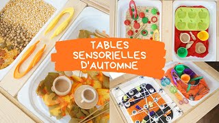 3 bacs sensoriels pour lautomne \ Pommes Feuilles et Halloween  flisat [upl. by Pulchi996]