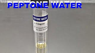 PEPTONE WATER  MICROBIOLOGY [upl. by Reffotsirk]