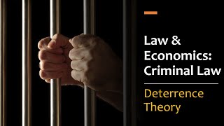 Criminal Law amp Deterrence Theory [upl. by Trilly]