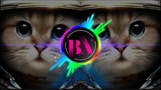 Cat song  Gyurza LIRANOV  Tiktok Trending  EXTREME BASS BOOSTED Music🎧 [upl. by Bartosch541]