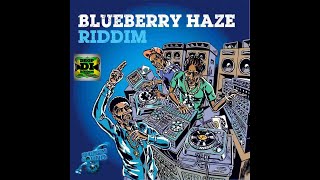 Blueberry Haze Riddim Mix FullChristopher Martin Mr Vegas Latty J Ras Demo x Drop Di Riddim [upl. by Loftus187]