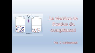 La réaction de fixation du complément [upl. by Akisey481]