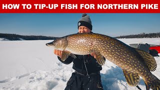 How To TipUp Fish For Northern Pike Complete Rigging [upl. by Ares]