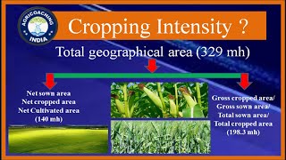 Cropping Intensity  How to calculate Cropping Intensity  Cropping Intensity of India [upl. by Silloh133]