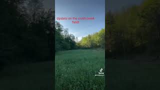 Plot update 2 agronomy deerfarming foodplots soil deermanagement [upl. by Weikert48]