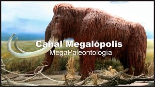 SIBERIA Mamut Lanudo Gigante de la Edad del Hielo  Documentales [upl. by Alyacim506]