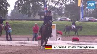 CIC SCHENEFELD 2013  DRESSUR [upl. by Nicol496]