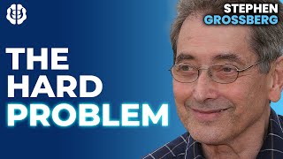 Stephen Grossberg A Unified Theory of Consciousness Adaptive Resonance Theory amp The Hard Problem [upl. by Nitfa]