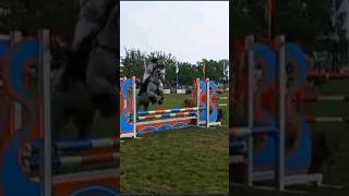 jumpin de weel 70 cm 2 fases [upl. by Aillimac]