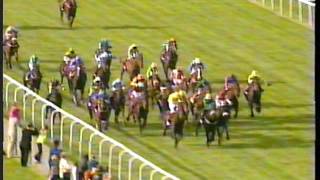 1999  Newmarket  Tote Cesarewitch Handicap  Top Cees [upl. by Eldwun]