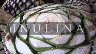 INULINA [upl. by Mabelle]