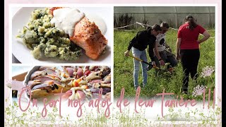 Vlog famille de 18 août  saumon au four miel moutarde et citron Gâteau amande pêche [upl. by Amadeo502]