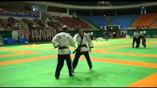 Master Borucki  2010 World Hapkido Championships in Gwangju South Korea [upl. by Monaco552]