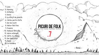 PICURI DE FOLK  Raiul Gabi Dimancea [upl. by Atteuqihc474]