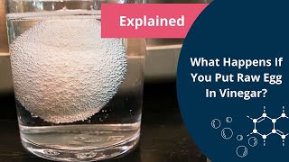 Egg in Vinegar Experiment  Osmosis  Biology [upl. by Ettenig]