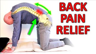 7 Great Exercises for Low Back Pain amp Stiffness [upl. by Idok]