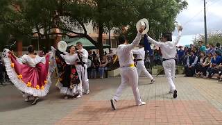 Baile Bambuco Sanjuanero en Ecuador 1 [upl. by Annam734]