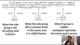 Chapter 1  Biological molecules  Part 10  Proteins  Sindh Text Board [upl. by Deina]