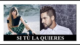 Si tú la quieres  David Bisbal y Aitana letra acústico [upl. by Aikimat513]