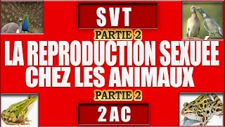 la reproduction sexuée chez les animaux svt 2 année collège partie2 [upl. by Riegel]