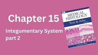 Integumentary System part 2 Laiq Hussain Histology [upl. by Noislla]