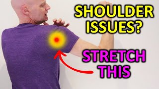 Shoulder Impingement Do These Shoulder Mobility Exercises For Posterior Capsule [upl. by Madanhoj599]