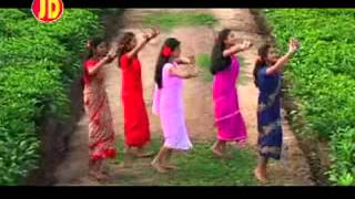 Phool Baganer Malini  Tushar Arjun  Barnali Kalita  Superhit Baganiya song Assam [upl. by Ginger]