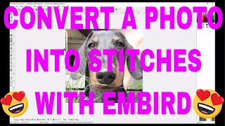 EMBIRD CLASS Convert a photo into stitches Embird Sfumato Stitch [upl. by Sanfo]